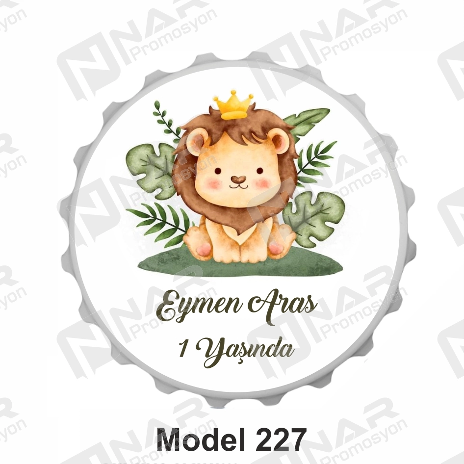 Yuvarlak Magnet