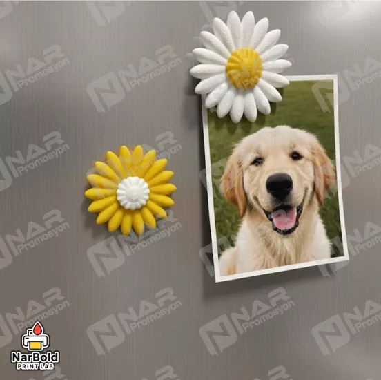 Mıknatıslı Kedi, Köpek Patisi Dekor Ürünü - Karışık Renkli