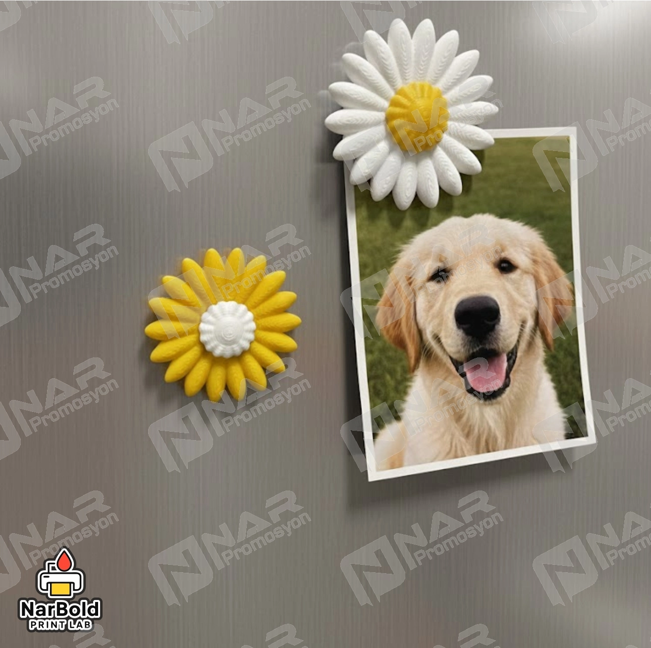 Mıknatıslı Kedi, Köpek Patisi Dekor Ürünü - Karışık Renkli